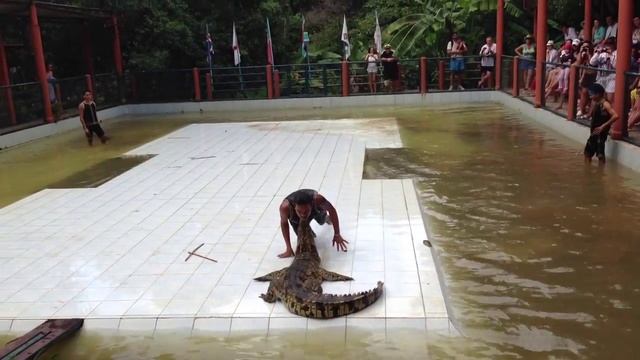 Шоу крокодилов. Поцелуй в нос смотреть онлайн