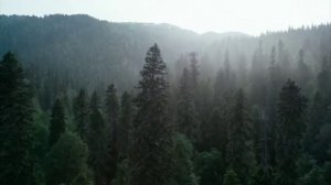 #ПОСЛЕДНИЙ_БАГАТЫРЬ гадость какая