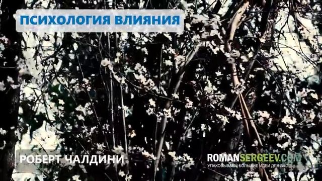 «Психология влияния». Роберт Чалдини | Саммари