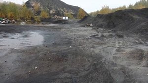 Связанная картечь 8.5мм на 35м и 50м