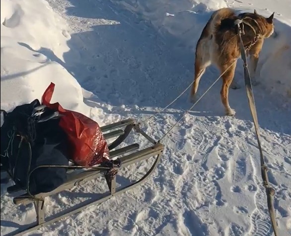 И груз довезет и тебя дотащит!