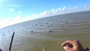 Охота на утку с подсадными утками и духовыми манками!!