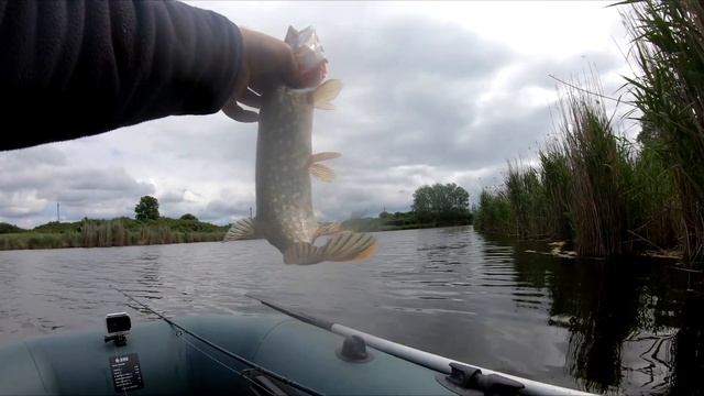 ЛОВЛЯ ЩУКИ НА СПИННИНГ В ИЮНЕ смотреть онлайн