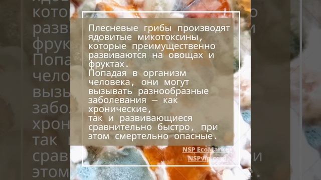 ПЛЕСЕНЬ НА ПРОДУКТАХ