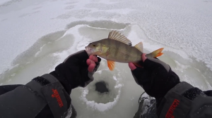 Где найти ПЕРВЫЙ ЛЁД. ГВОЗДЕШАРИК рулит. Зимняя рыбалка.