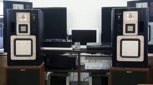 SONY APM-66ES высокоэффективные акустические системы, высокое разрешение.