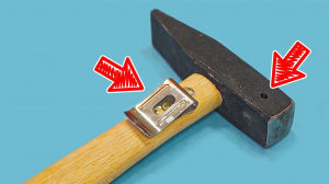 Без денег, но с мозгами