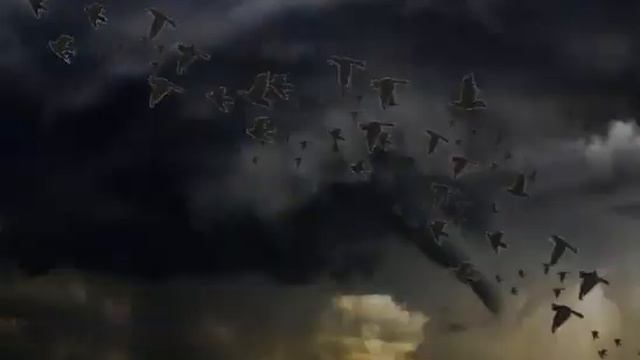 Буктрейлер Нил Гейман "Океан в конце дороги" смотреть онлайн