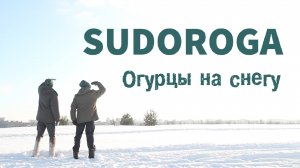 SUDOROGA - Огурцы на снегу