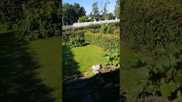 ДВОР ЕВРО СТАНДАРТ