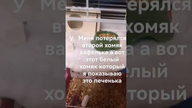 хочу найти вафельку у меня уже есть видео с вафелькой Зайдите на мой канал и посмотреть кто хотите