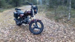 jordan evo 110cc.  Внешний  осмотр