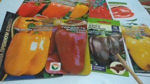 ПОКУПКА СЕМЯН  ПЕРЕЦ  Сибирская Мини Дачка