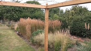 my favourite ornamental grasses