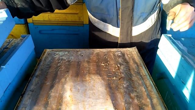 Зимовка пчел на улице, холодная зимовка пчел без утепления, минимальный расход кормов смотреть онлайн