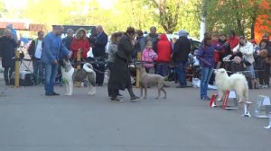 Химки 21.05.2017.5 группа