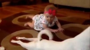 Собака учит ребенка ползать