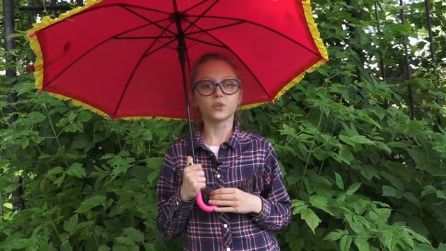 Алиса яркина читает А.С.Пушкина "" Туча "" школа 91 смотреть онлайн