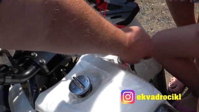 Mowgli Харди 8+ - популярная модель 2019 года. Доставка нашему клиенту. смотреть онлайн