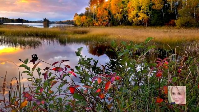 Медитация для снятия стесса за 5 минут. Аффирмации на каждый день смотреть онлайн