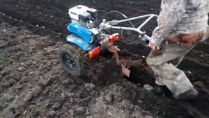 Посадка картофеля под окучник мотоблоком.