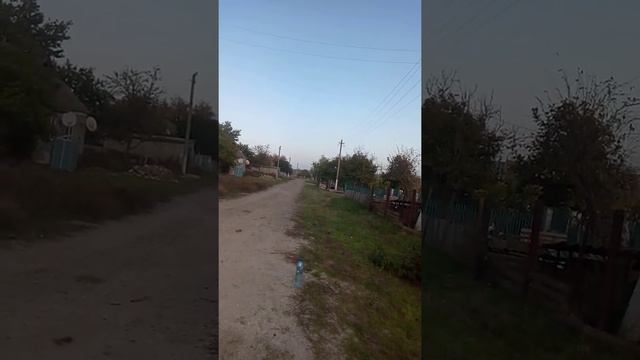 Поднял на задок Suzuki rmz 450 cc первый раз дело страшное смотреть онлайн