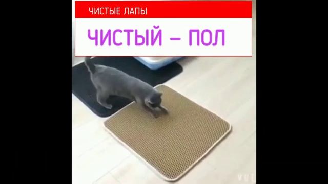 кошка туалет //кот туалет //коврик под лоток смотреть онлайн