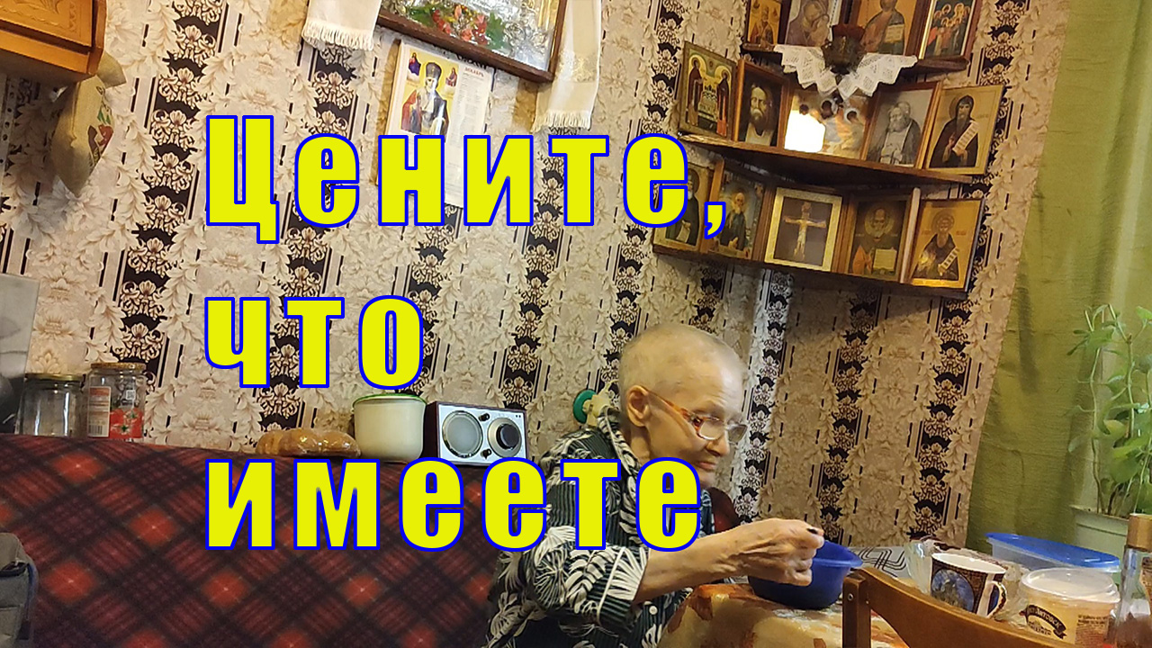 ЦЕНИТЕ ХЛЕБ /СМАСТЕРИЛА РАЗВЛЕЧЕНИЕ ДЛЯ КОШЕК / 01 декабря 2023