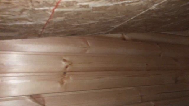 АЛАБАЙ Ума НЕ ИДЁТ в новую будку, пришлось идти на помощь смотреть онлайн