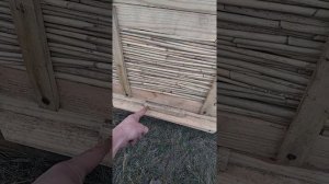 Мой улей из камыша. Осмотр улья из камыша. Камышовый улей