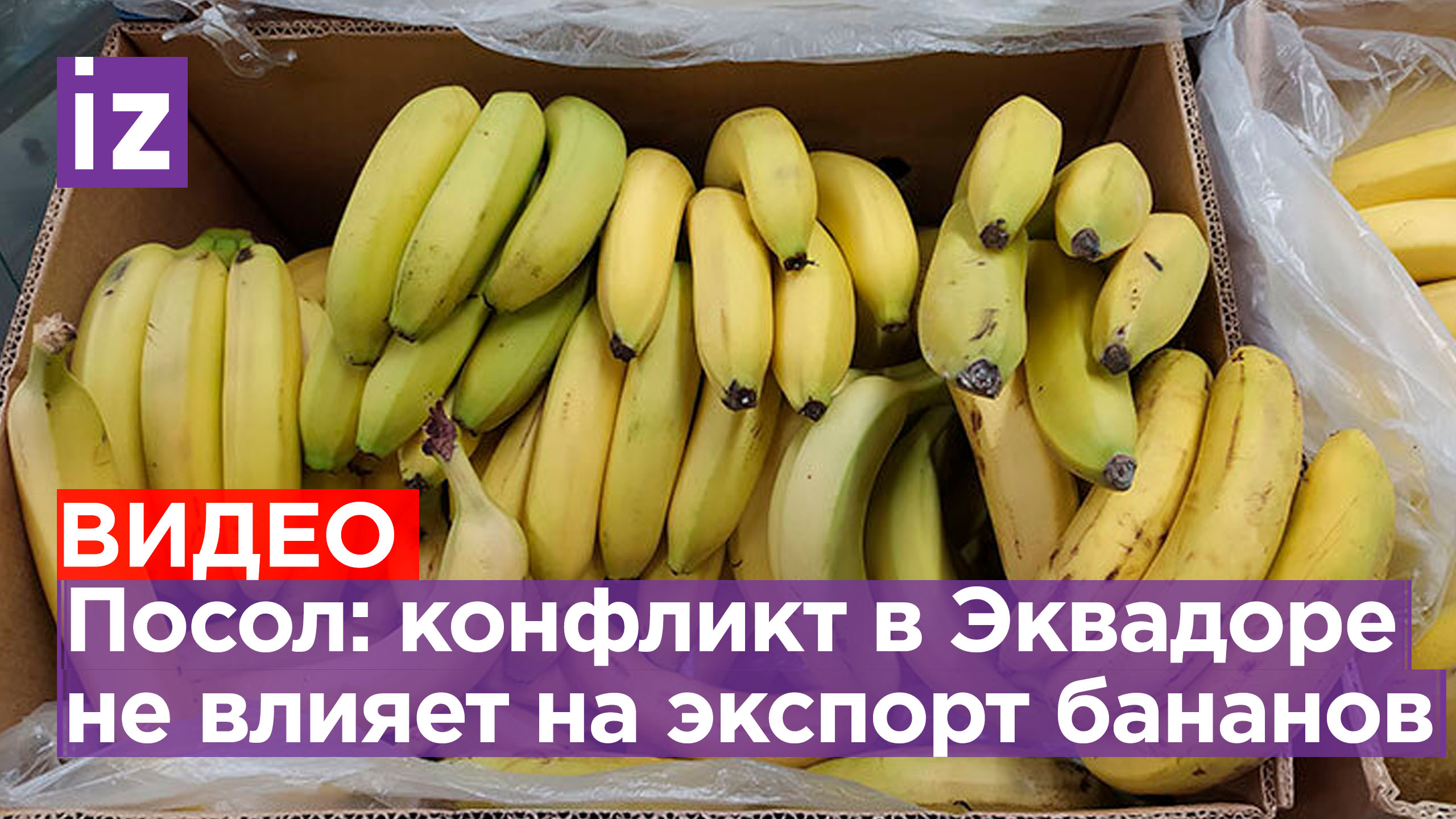 Общественные беспорядки в Эквадоре не повлияют на экспорт бананов из республики в Россию / Известия