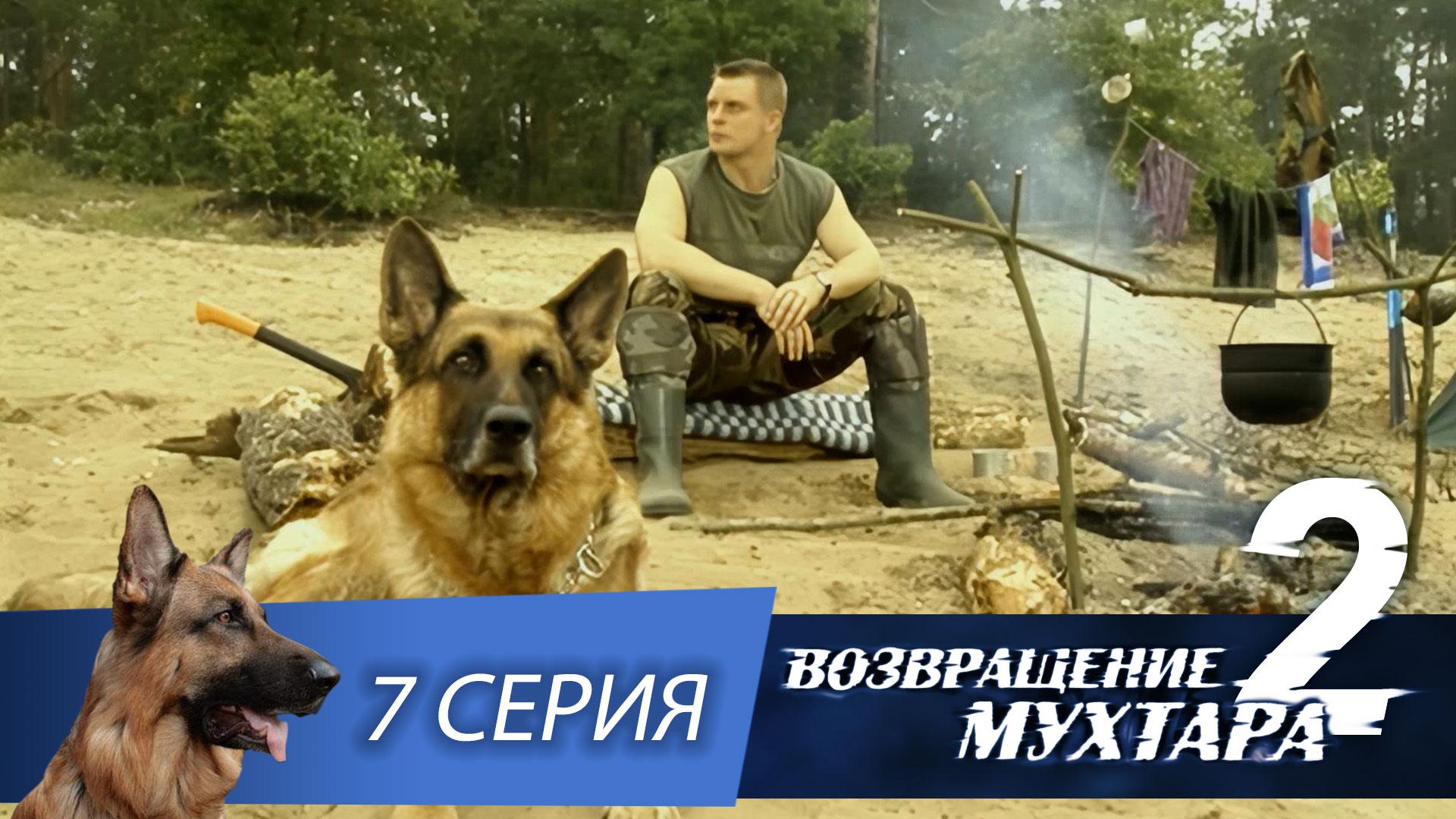 Возвращение Мухтара  2. 7 серия. Охотничий трофей