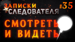Записки следователя #35 «Смотреть и видеть»