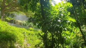 Sunsuri Phuket 5*  отель на склоне горы ,с красивым видом #пхукет