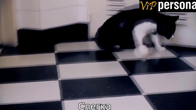 Слегка