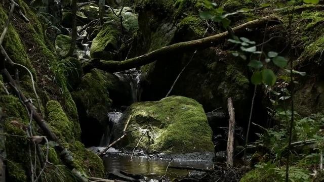 КЕЛЬТСКАЯ МУЗЫКА помогает успокоить ум, сбалансировать энергии, расслабляющая кельтская музыка