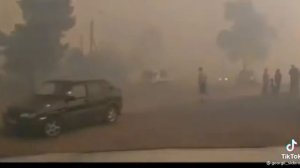 Как поджигают лес