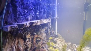 3D фон для аквариума своими руками