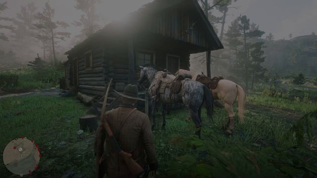 Лучшая лошадь в Red Dead Redemption 2 смотреть онлайн
