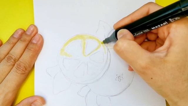 идеи для скетчбука/как нарисовать апельсин