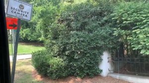 США | ЭКСКУРСИЯ ПО АТЛАНТЕ, ШТАТ ДЖОРДЖИЯ #США #атланта