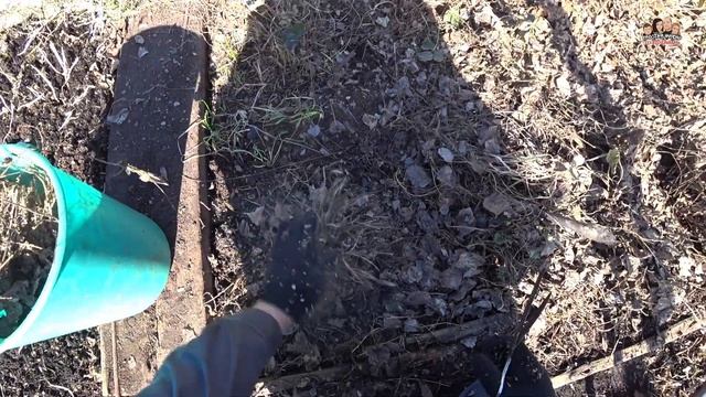 ВЛОГ! Первые весенние работы на даче?/Наводим порядок/Чистим клубнику от сухих листьев и не только!