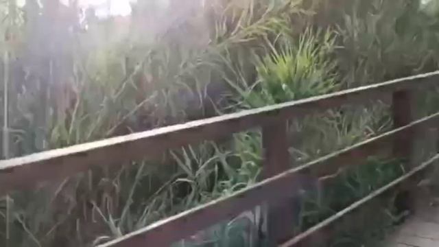 mi pequeño ruteando? смотреть онлайн