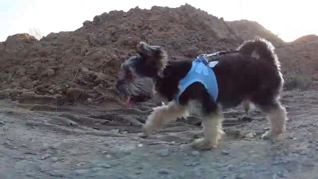 Мы сегодня потрудились! 🏠 Today we worked! смотреть онлайн