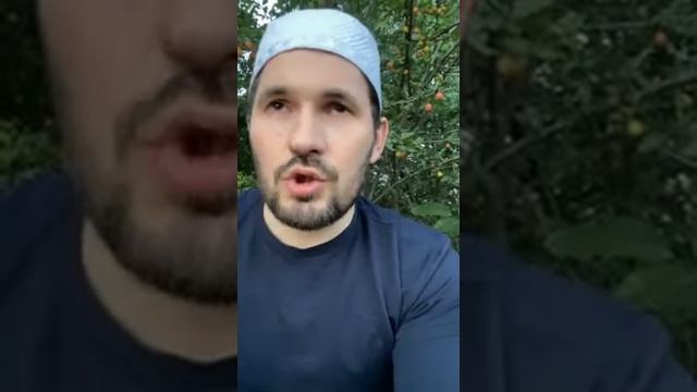 Истихар намаз. Сулейманов Мухаммад.