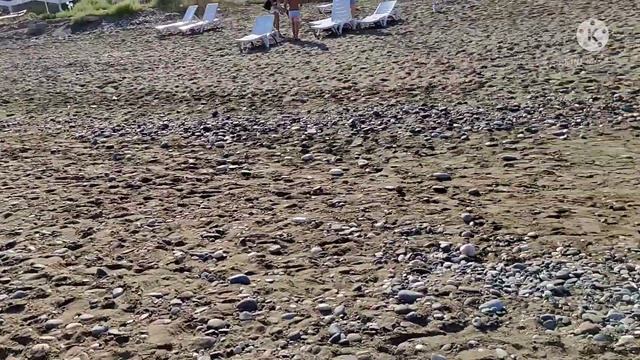 Готовлю ЗАВТРАК! ?☕ Нам наполняют БАССЕЙН! ? Сколько ВРЕМЕНИ мы идем до ПЛЯЖА? Набережная, КУКУРУЗА смотреть онлайн