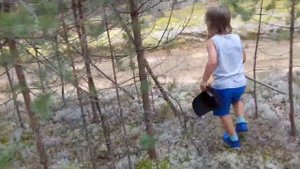 Грибы в Вологодской области. Дети собирают грибы. Боровики. Белые грибы
