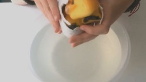Growing  Dinosaur Egg in Water.  Растущее яйцо динозавра в воде.