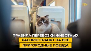 Правила перевозки животных распространят на все пригородные поезда