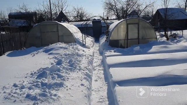 137. Посевная 2023 года началась. Парник собрал. Снег с тропинок убрал.